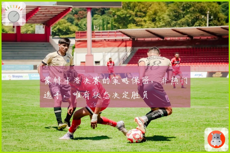蒙特卡洛决赛的策略保密，非热门选手，唯有状态决定胜负
