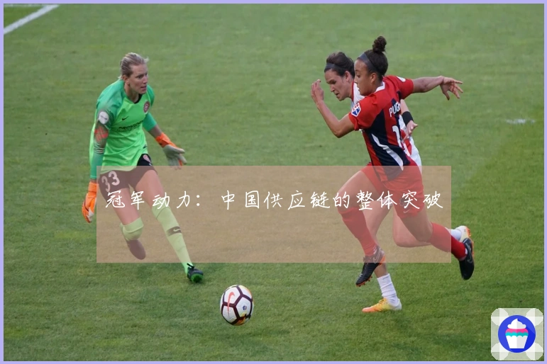 冠军动力：中国供应链的整体突破